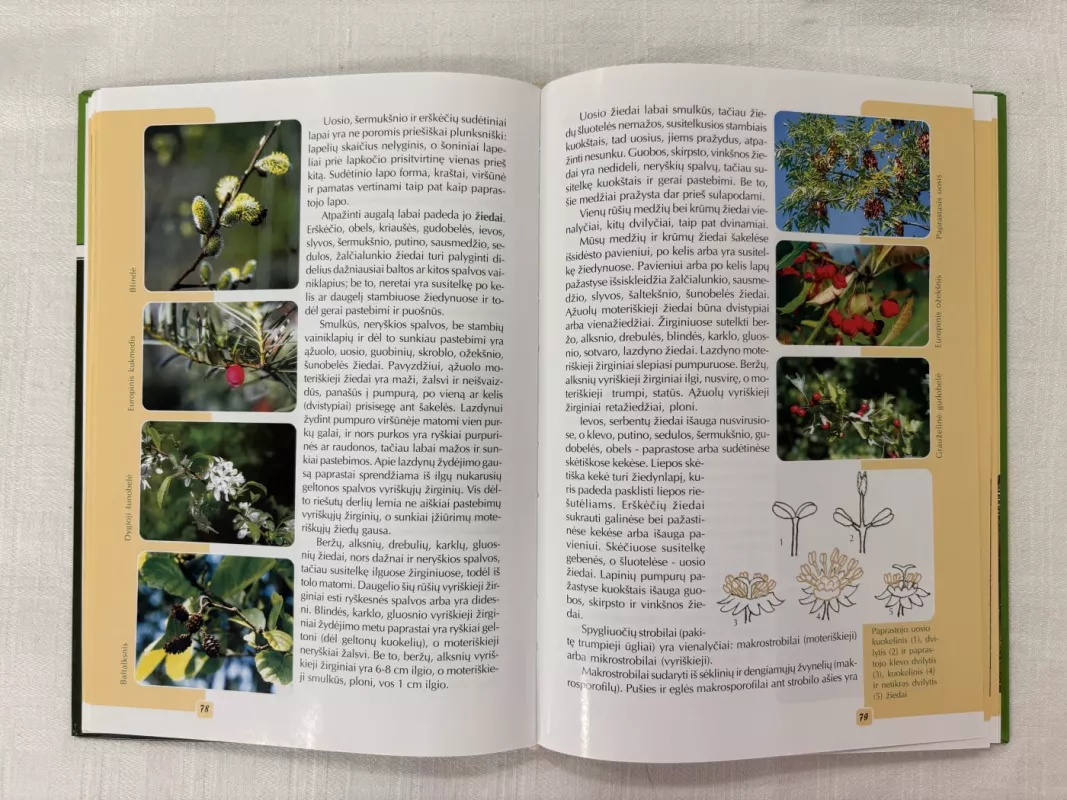 Pažink mišką - Kęstutis Armolaitis, knyga 4