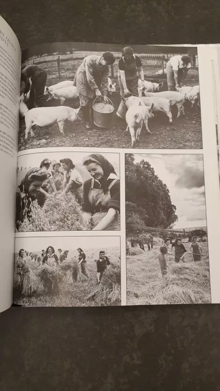 BRITAIN AT WAR Unseen archives - Mauren Hill, knyga 6