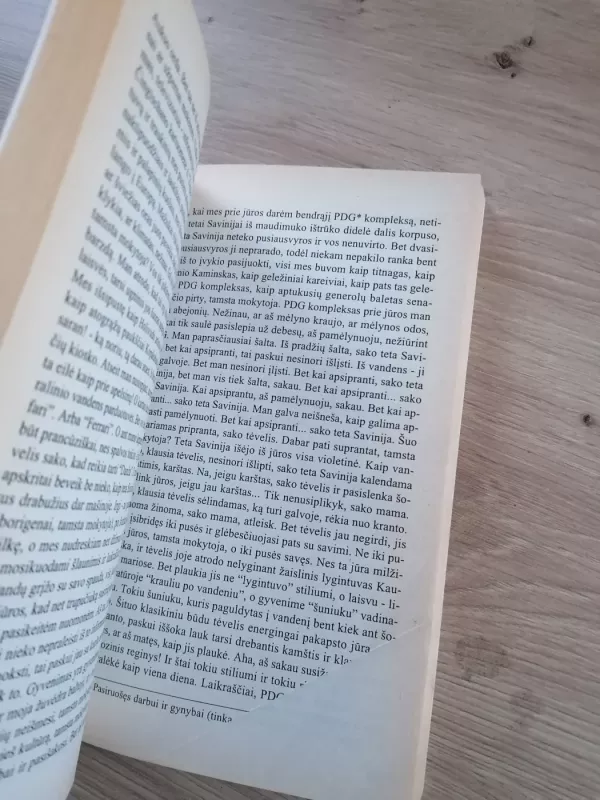 Iki pusės - Jurgis Gimberis, knyga 5