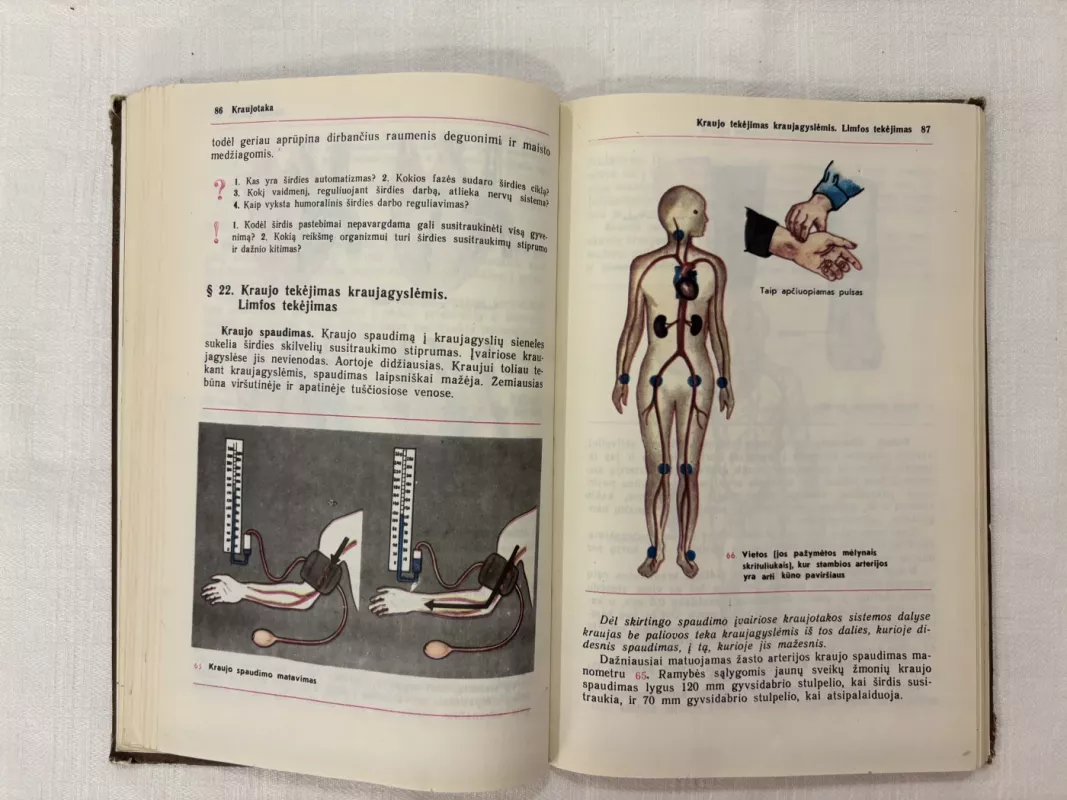 Žmogus. Anatomija. Fiziologija. Higiena - A. Cuzmer, O. Petrišina, knyga 4