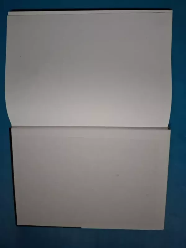 Peritonitas - Kęstutis Strupas, knyga 3