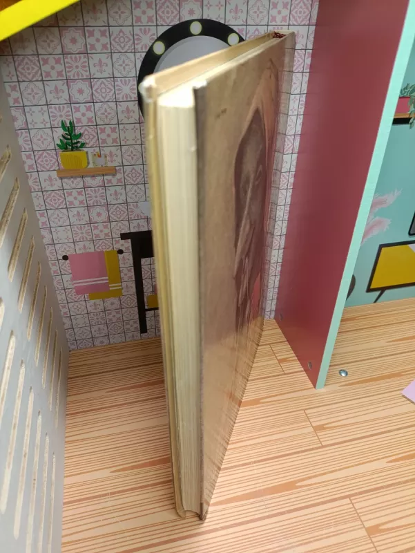 Aukso puodas ir kitos istorijos - Autorių Kolektyvas, knyga 6