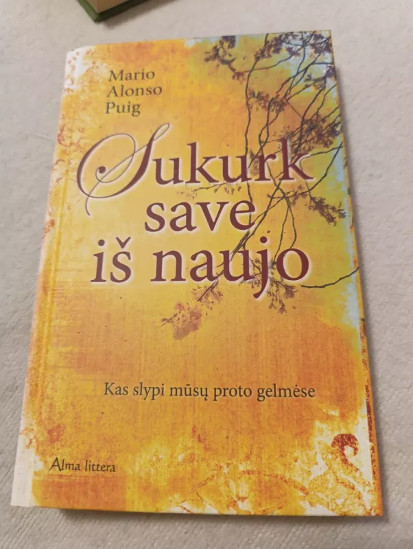 Sukurk save iš naujo - Mario Alonso Puig, knyga 3