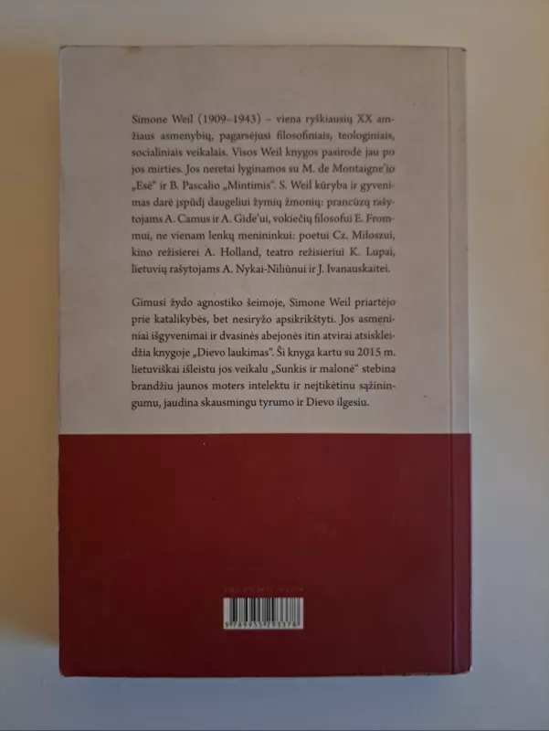 Dievo laukimas - Simone Well, knyga 3