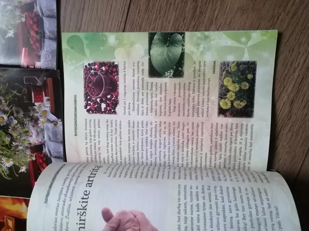 Liaudies gydytojas - Aautorių kolektyvas, knyga 5