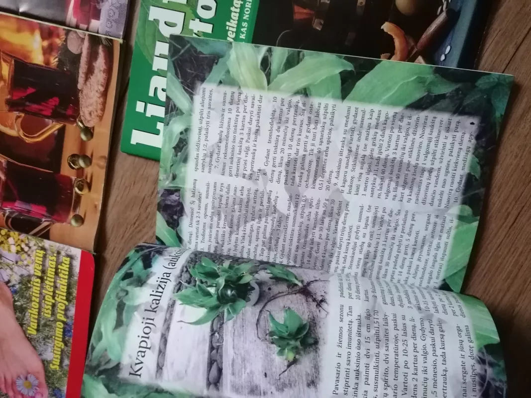 Liaudies gydytojas - Aautorių kolektyvas, knyga 4