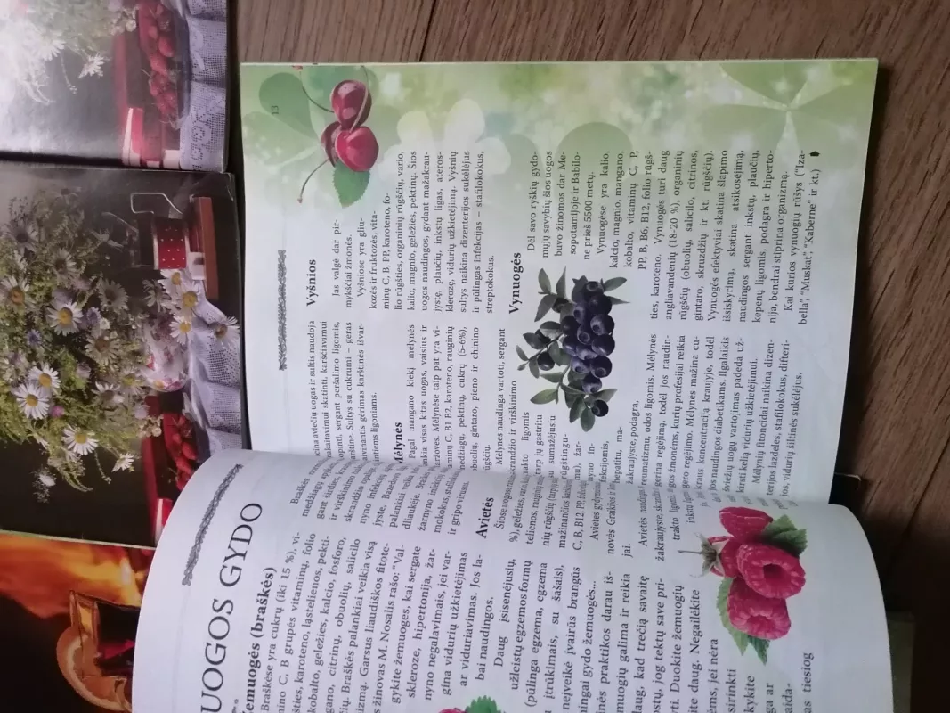 Liaudies gydytojas - Aautorių kolektyvas, knyga 6