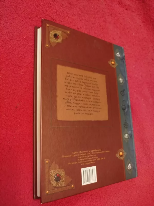 Didžioji magijos knyga - Ulrike Muller-Kaspar, knyga 6