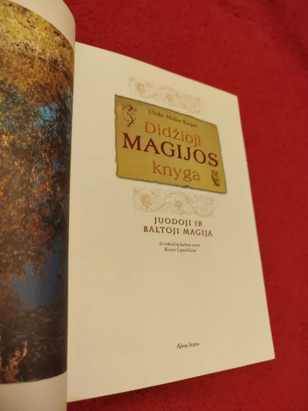 Didžioji magijos knyga - Ulrike Muller-Kaspar, knyga 3