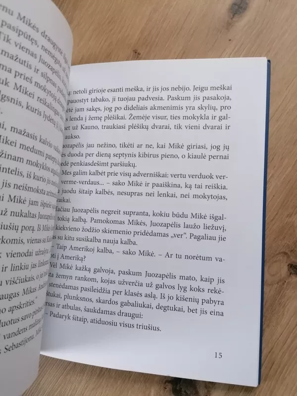 Vaikų karas - Petras Cvirka, knyga 4