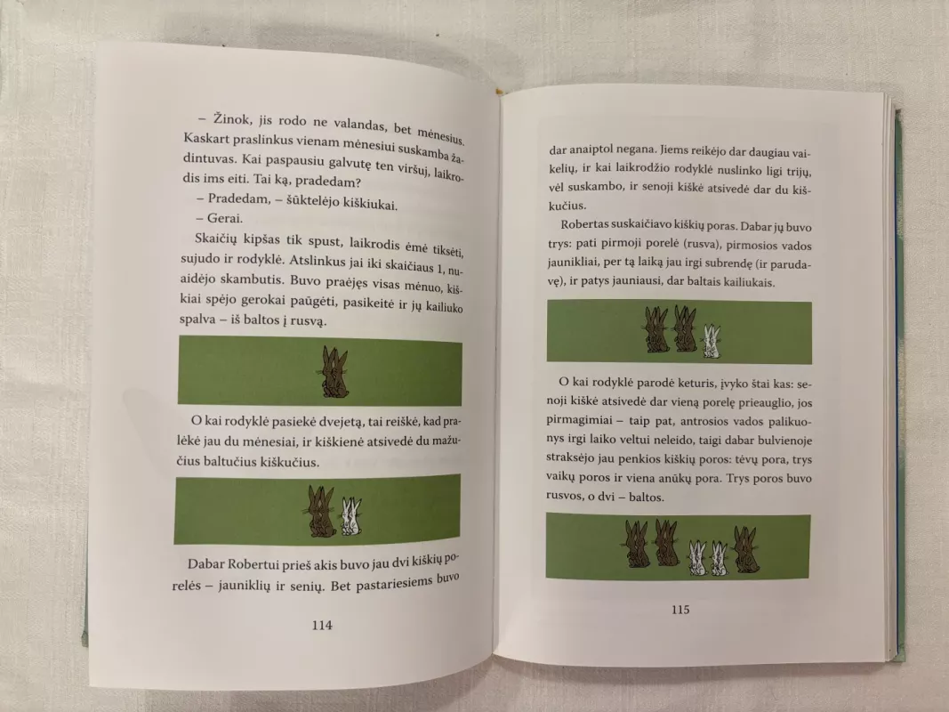 Skaičių kipšas - Hans Magnus Enzensberger, knyga 4