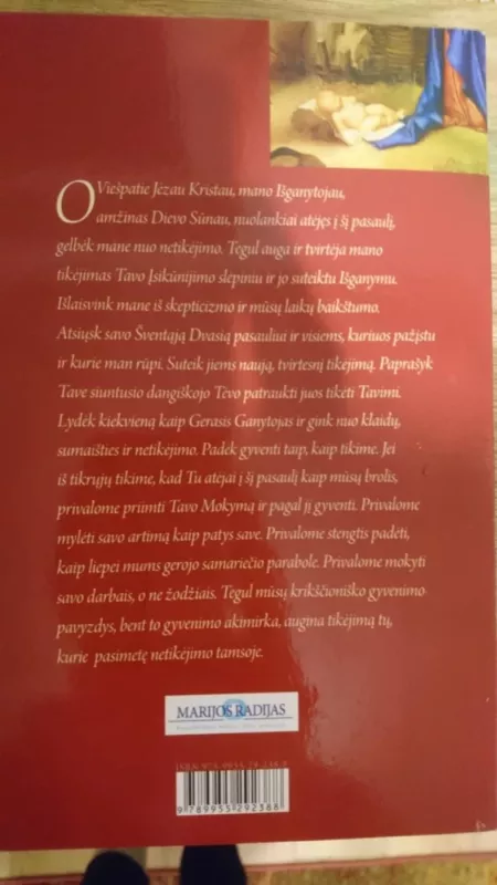 Žiūrėkite, Jis ateina - Benedict J. Groeschel C.F.R., knyga 3