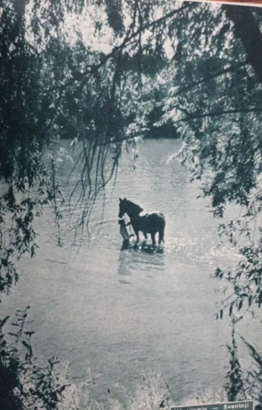 Kas dainon nesudėta - Juozas Baltušis, knyga 5