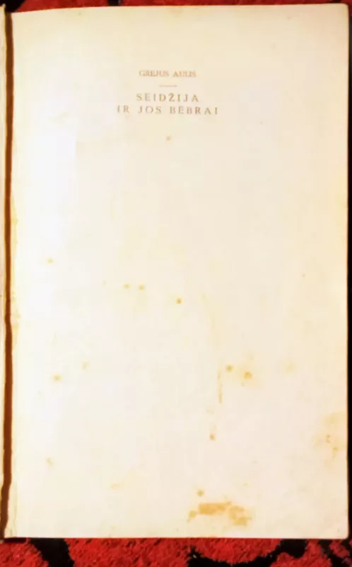 Seidžija ir jos bebrai - Grejus Aulis, knyga 4