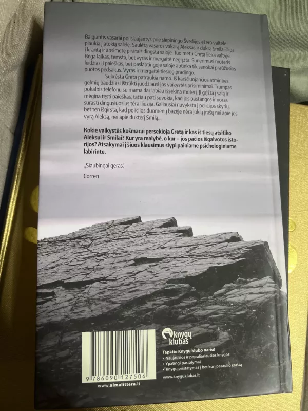 Dingę - Caroline Eriksson, knyga 3