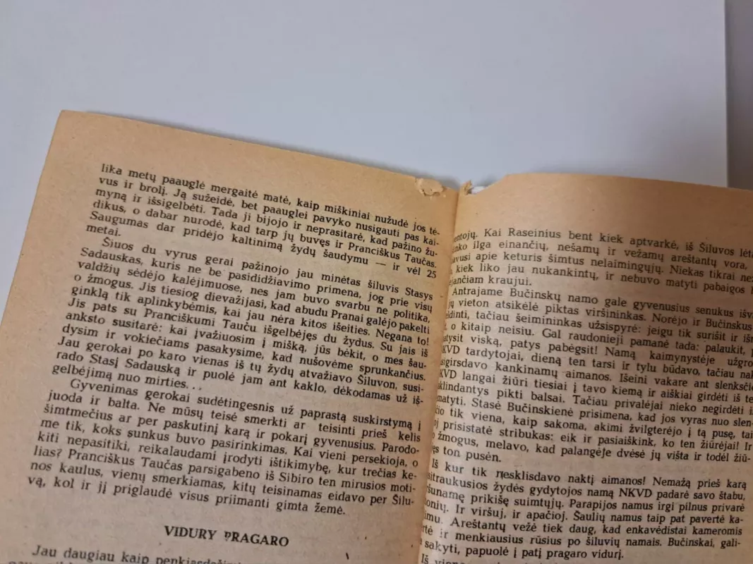 Auksinė Šiluvos karūna - Leonas Jurša, knyga 4