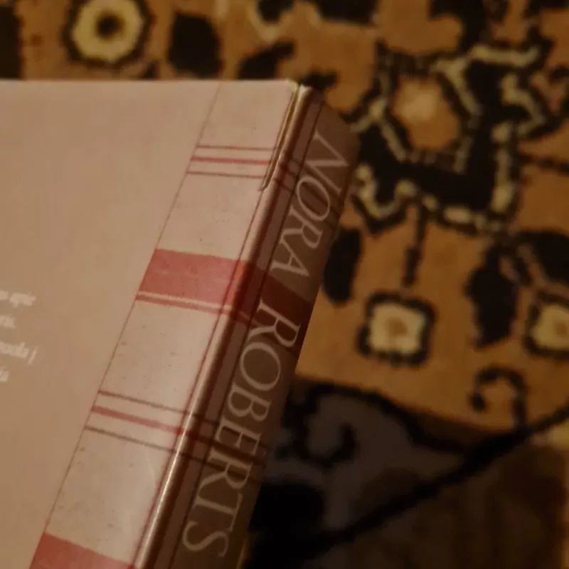 Makgregorai: nuotakos - Nora Roberts, knyga 4