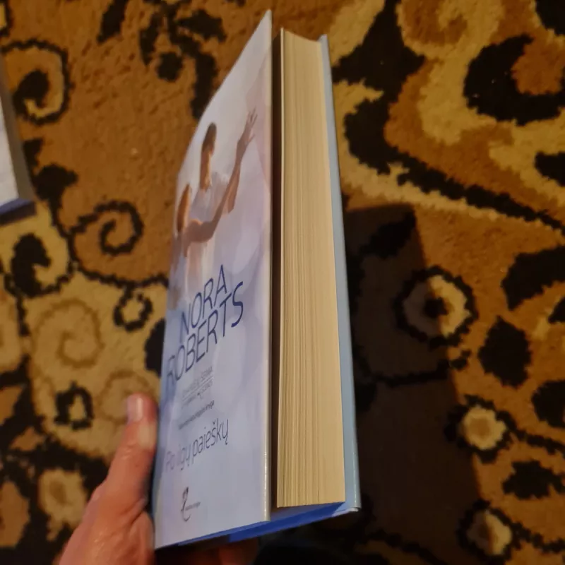 Po ilgų paieškų - Nora Roberts, knyga 3