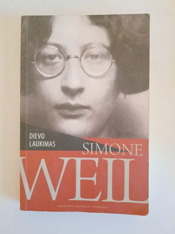 Dievo laukimas - Simone Well, knyga 2