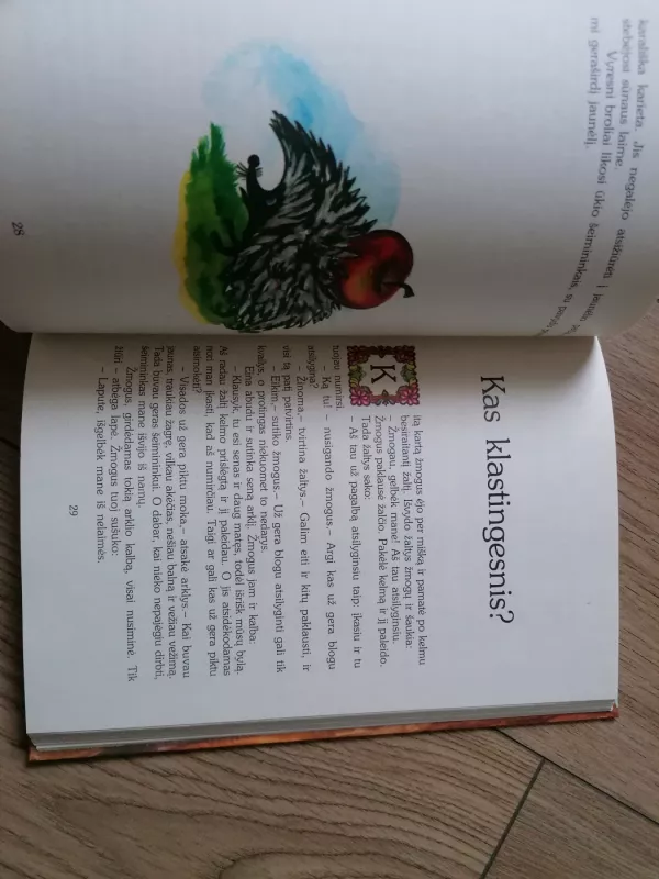 Žemaičių pasakos - Valdas Sasnauskas, knyga 6