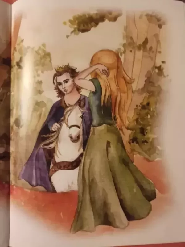 Dvylika brolių juodvarniais lakstančių - Mantas Sasnauskas, knyga 3