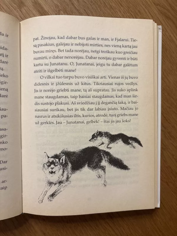 Broliai Liūtaširdžiai - Astrid Lindgren, knyga 3