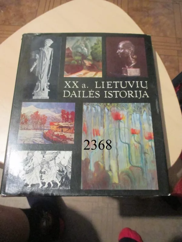 XX a. lietuvių dailės istorija I tomas - Autorių Kolektyvas, knyga 2