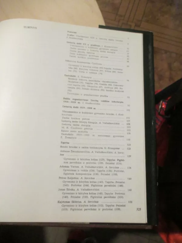 XX a. lietuvių dailės istorija I tomas - Autorių Kolektyvas, knyga 5