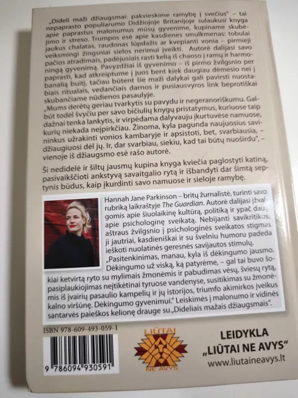 Dideli maži džiaugsmai - Hannah Jane Parkinson, knyga 3