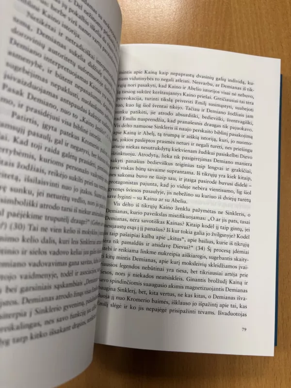 Būties bipoliariškumo raiškos būdai Hermanno Hesse's kūryboje - Raminta Gamziukaitė, knyga 4