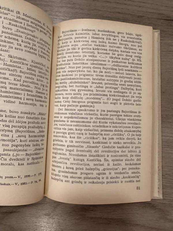 Tarp dangaus ir žemės. Dobilo gyvenimo ir darbų pėdsakais - Rapolas Šaltenis, knyga 4