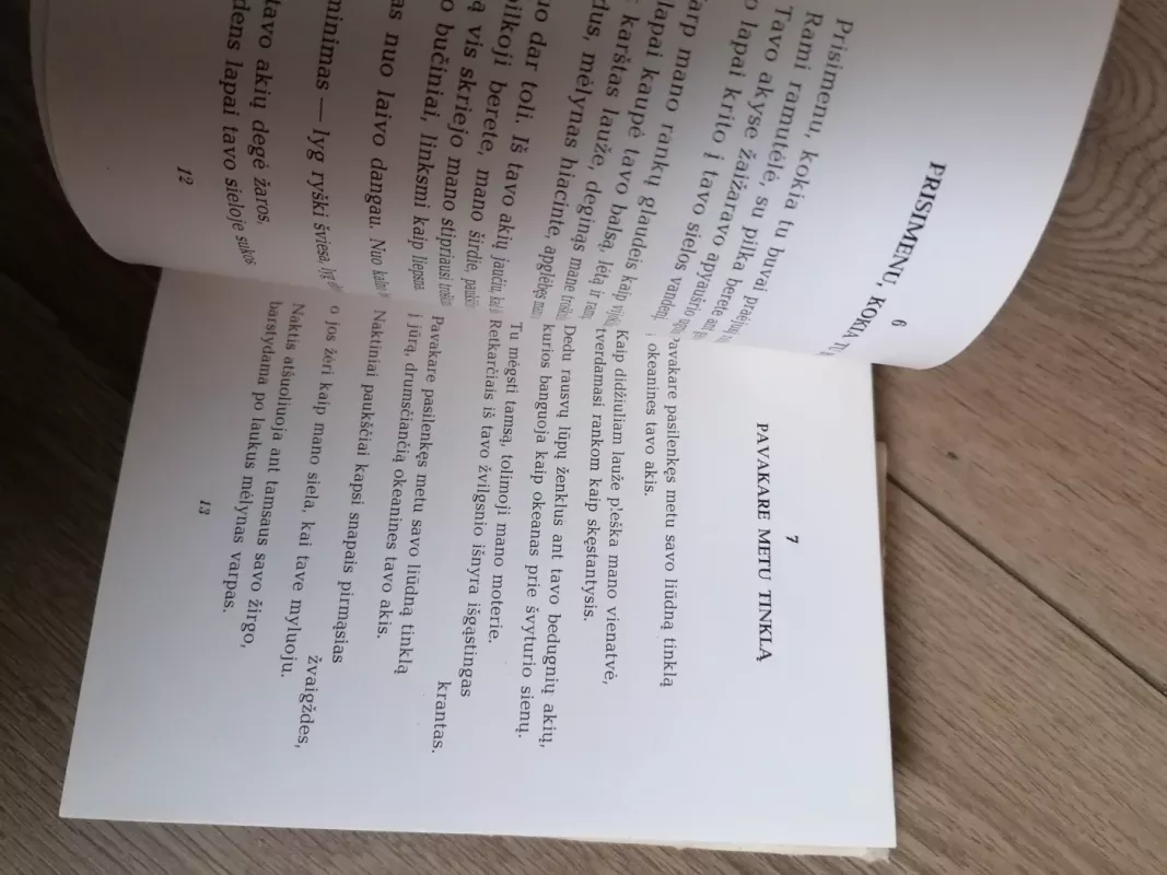 Poezija - Pablas Neruda, knyga 6