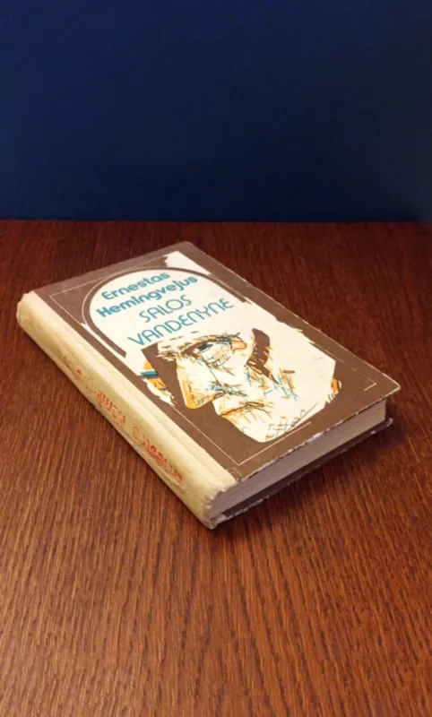 Salos vandenyne - Ernestas Hemingvėjus, knyga 3