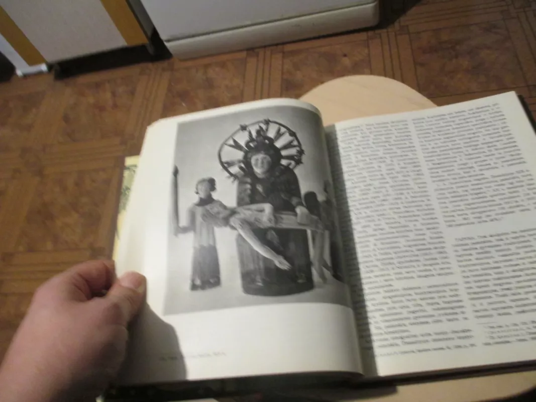 XX a. lietuvių dailės istorija I tomas - Autorių Kolektyvas, knyga 4