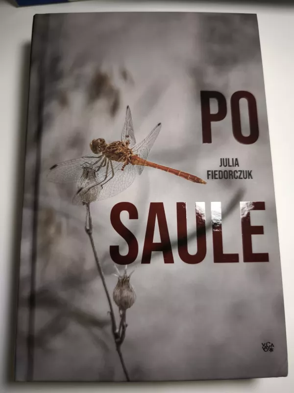 Po saule - Julia Fiedorczuk, knyga 2
