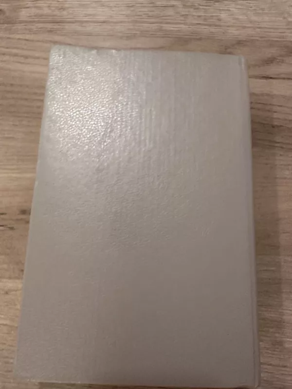 Kovose dėl Lietuvos (I tomas) - Stasys Raštikis, knyga 5