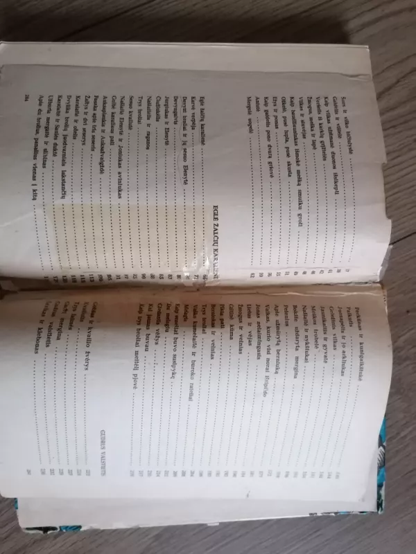 Gulbė karaliaus pati - Autorių Kolektyvas, knyga 6