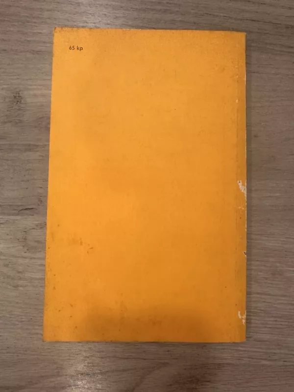 Vaikai, ne tokie kaip kiti - Gerda Jun, knyga 5