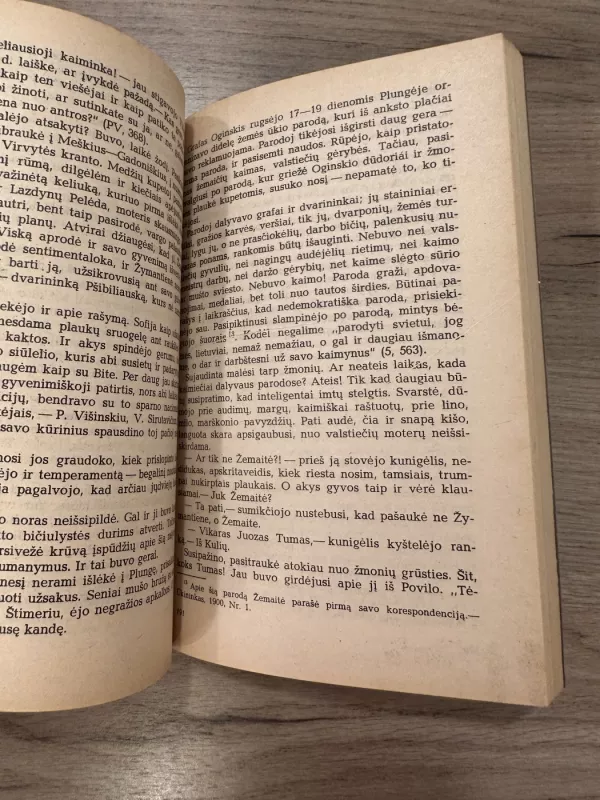 Žemaitė - Adolfas Sprindis, knyga 3