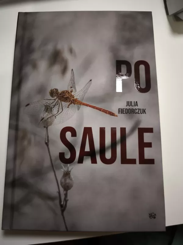 Po saule - Julia Fiedorczuk, knyga 2