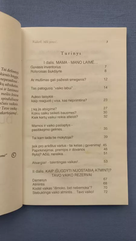 Vaikeli, būk geras!... - Mieliauskienė Alma, knyga 4