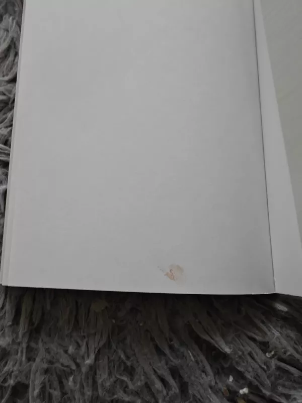 Meškiukas už stiklo - Anna Vinkovskiene, knyga 3