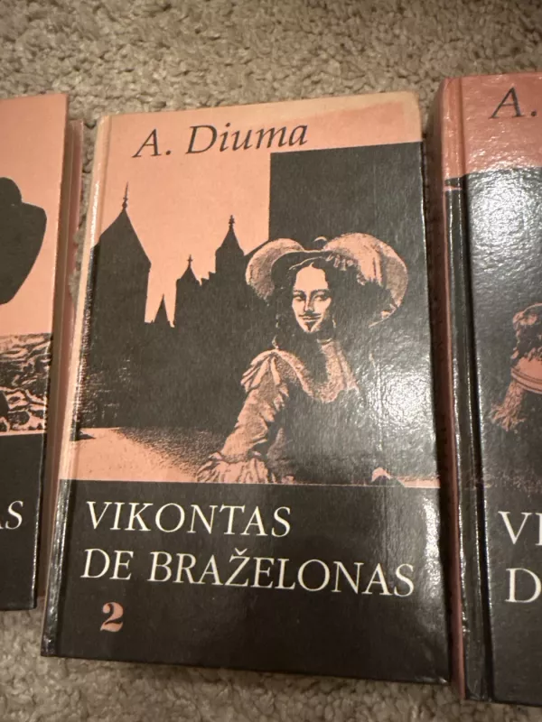 Vikontas de Braželonas (1-5 tomai) - Aleksandras Diuma, knyga 6