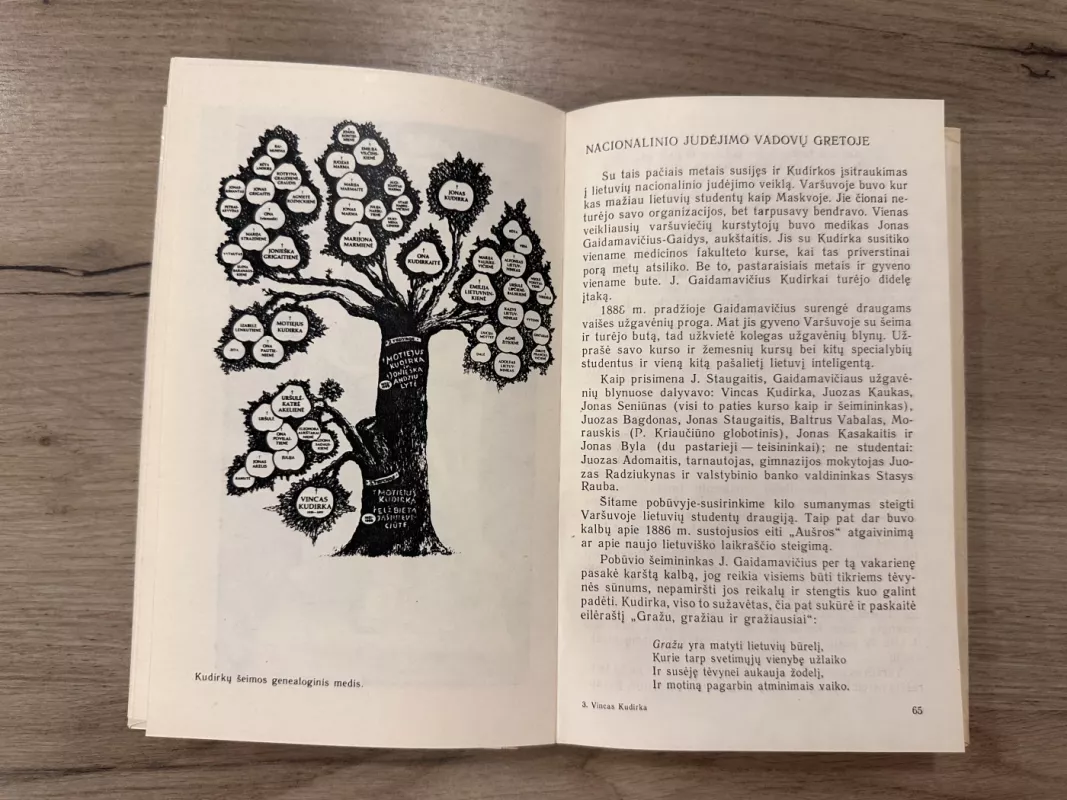 Vincas Kudirka - Julius Būtėnas, knyga 3