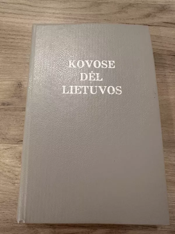 Kovose dėl Lietuvos (I tomas) - Stasys Raštikis, knyga 2