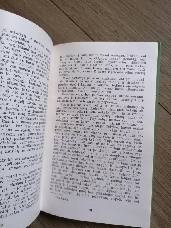 Liūdna pasaka - Jonas Biliūnas, knyga 5