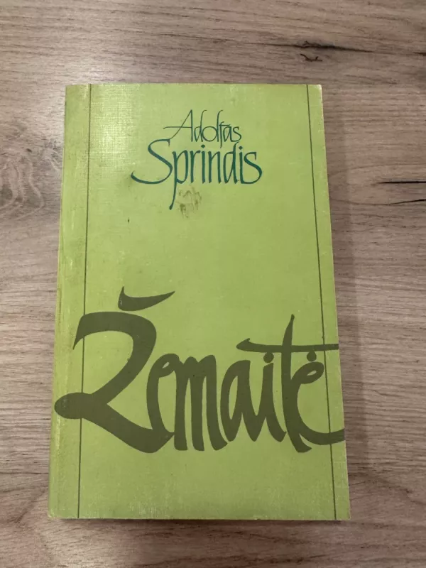Žemaitė - Adolfas Sprindis, knyga 2