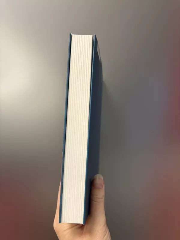 Būties bipoliariškumo raiškos būdai Hermanno Hesse's kūryboje - Raminta Gamziukaitė, knyga 5