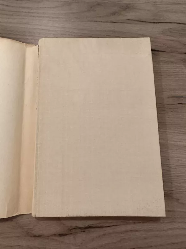 LIETUVA dokumentai liudijimai atgarsiai 1991.01.13 - Spaudos Departamentas, knyga 3