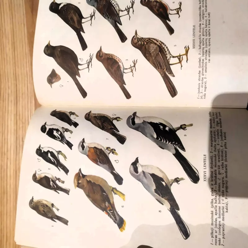 Lietuvos paukščiai - Vytautas Logminas, knyga 4